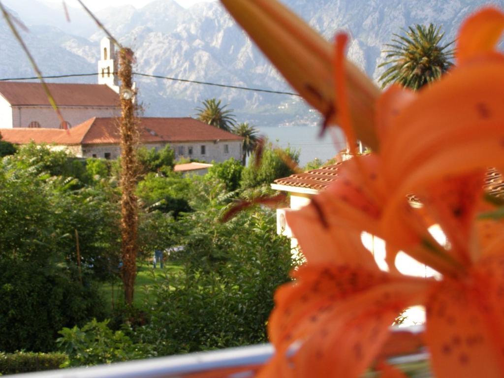Djurovic Apartments Montenegro Kotor Room photo
